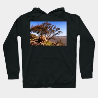 Island Pathway Hoodie